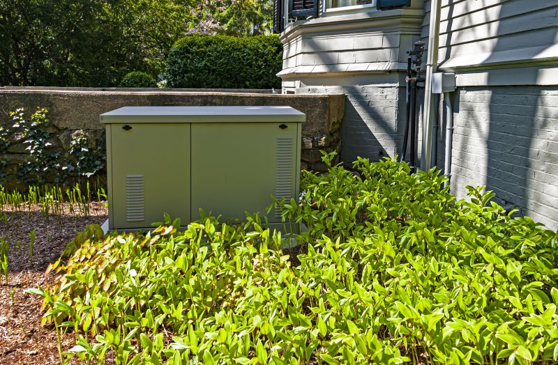 Generator Enclosure in a Residential Setting
